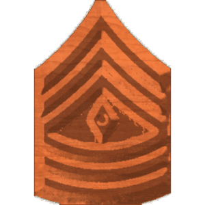Army1stSgt